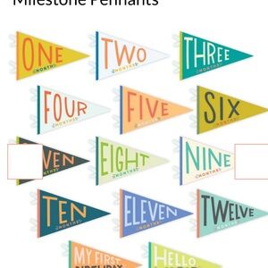 Lucy Darling Petit Milestone Pennants